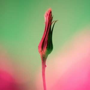 Grupo de Supervisión e Investigación Astro Bio