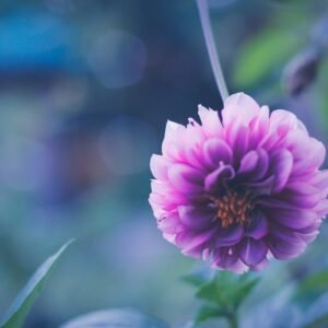 Taller presencial "Lo vincular en movimiento"